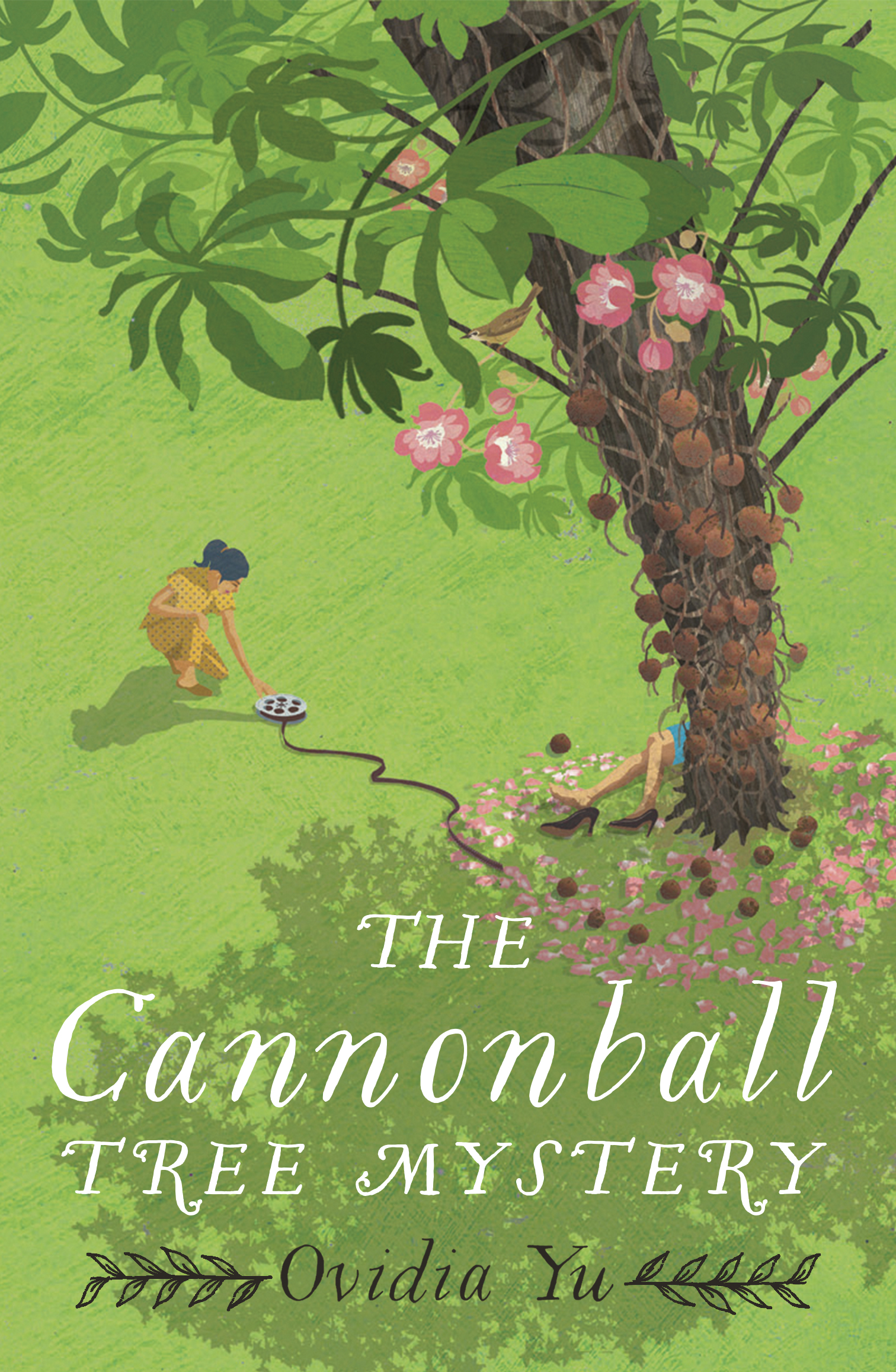 The Cannonball Tree Mystery