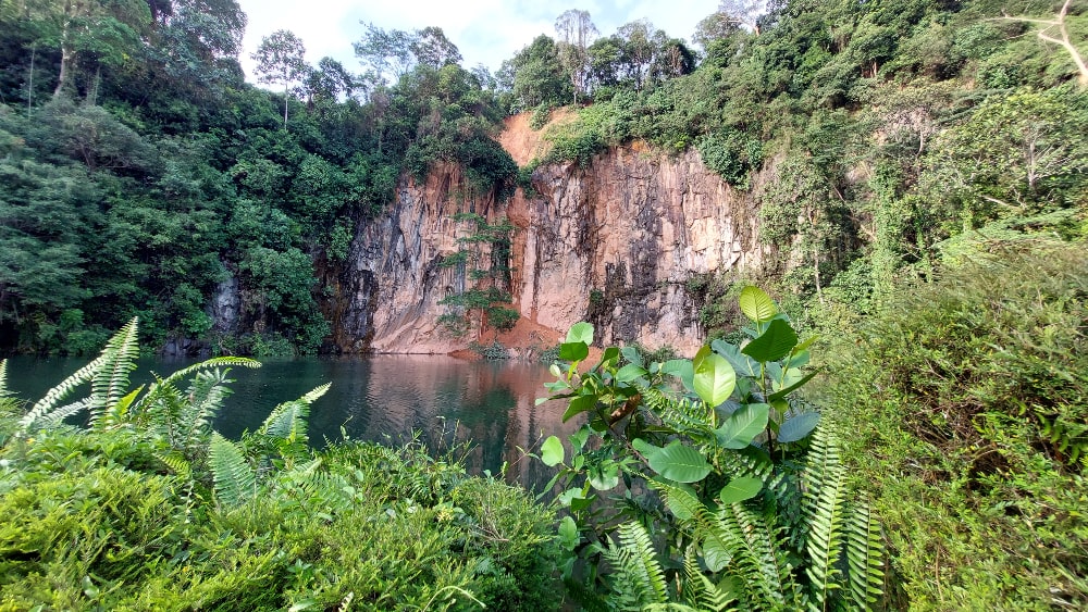 Bukit Batok Quarry with plants in foreground