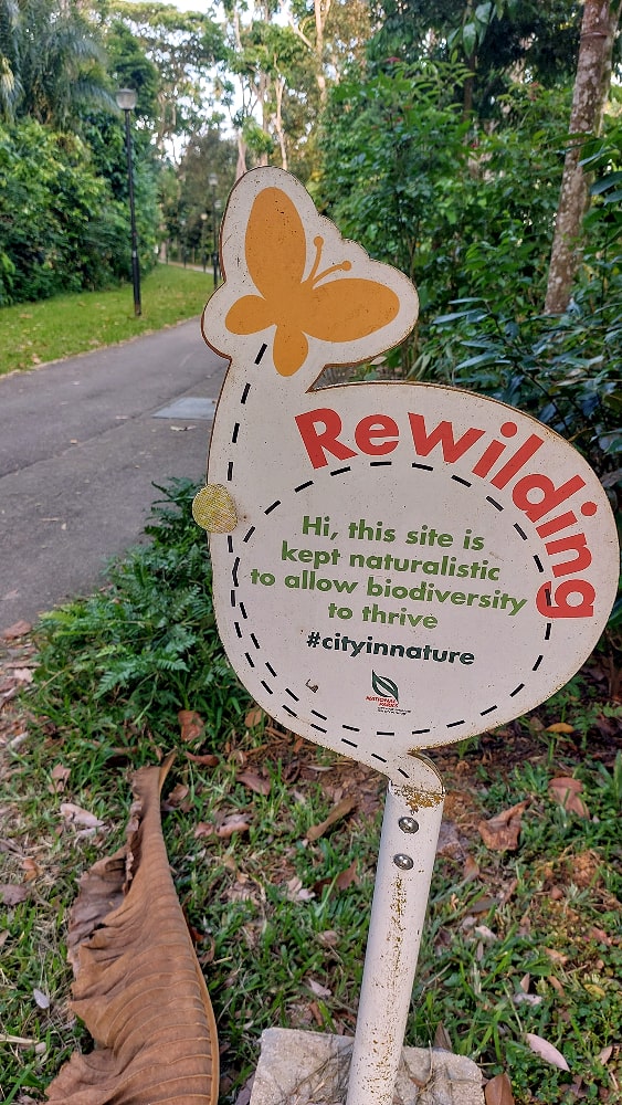 Rewilding