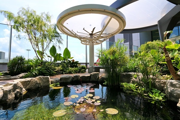 Water Lily Garden at Changi Airport Terminal