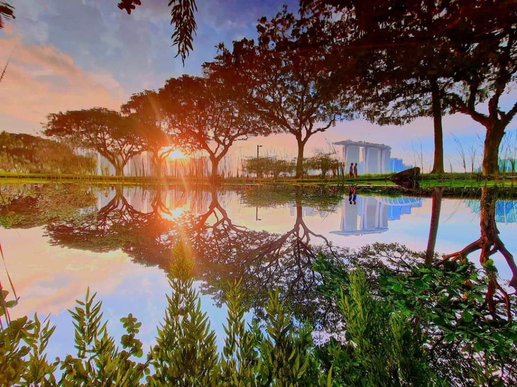 Singapore Reflections