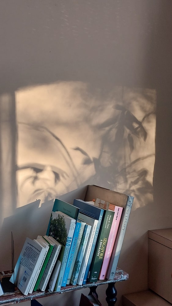 Books & Shadows