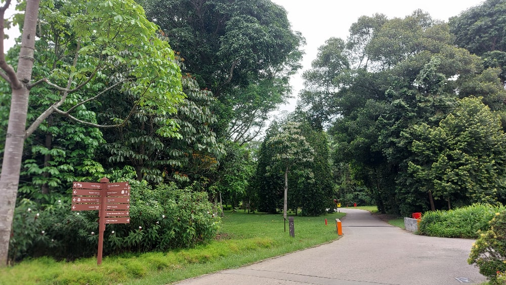 Ubin paths