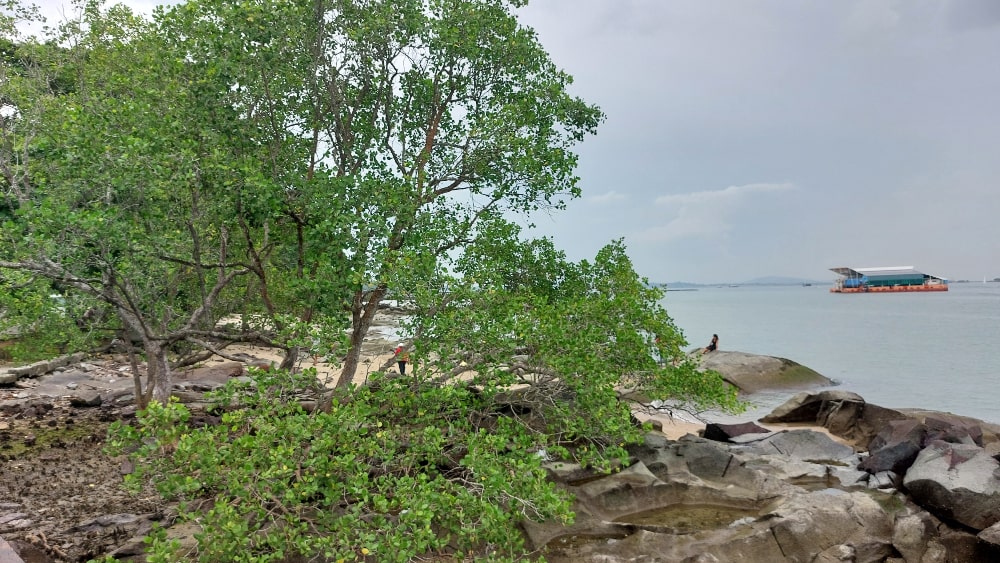 Rocky beach