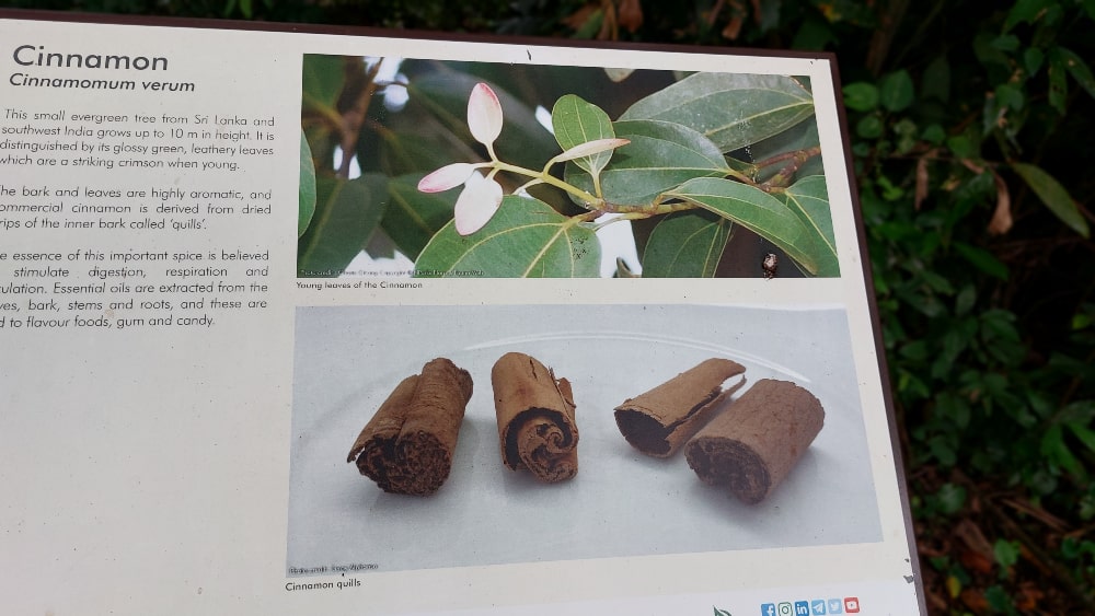 Cinnamon sign