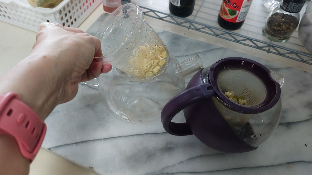Teapot Filter Sprouters