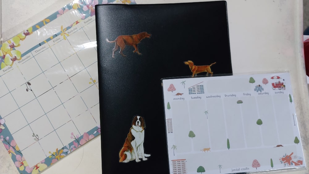 Diary DaySheets