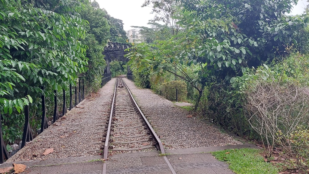 Rails to Trails: Steps on the Tracks of Time