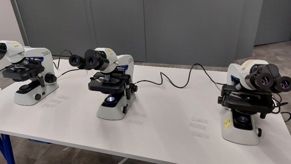 Microscopes