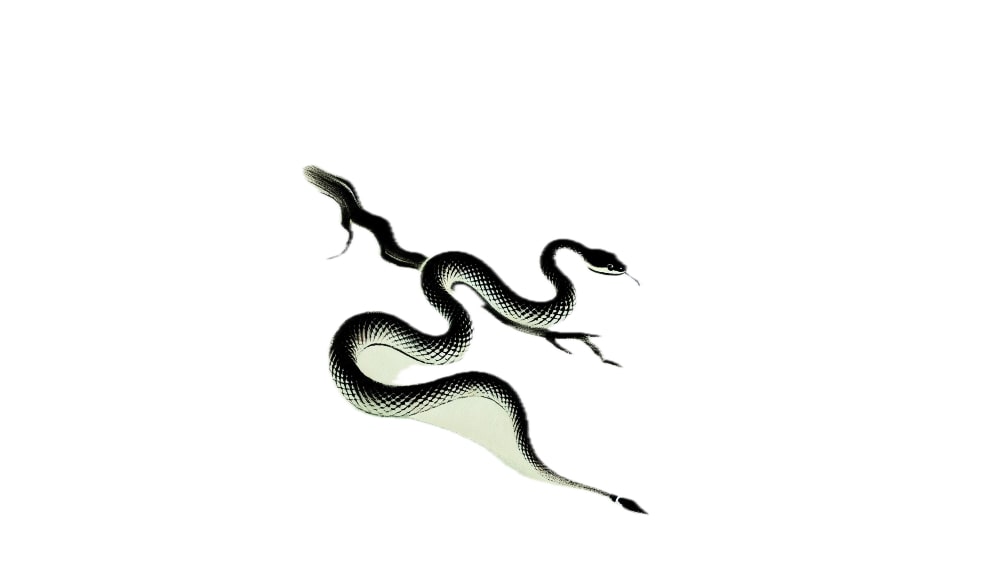 The Year of the Wood Snake is Coming…