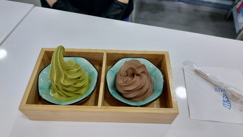 Matcha Chocolate Ice Cream