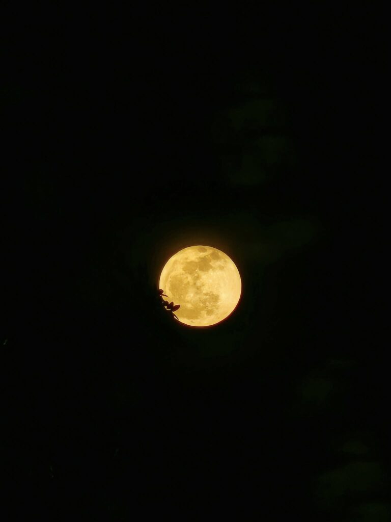 Sturgeon moon