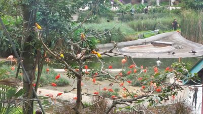 Down Time versus Down Moods