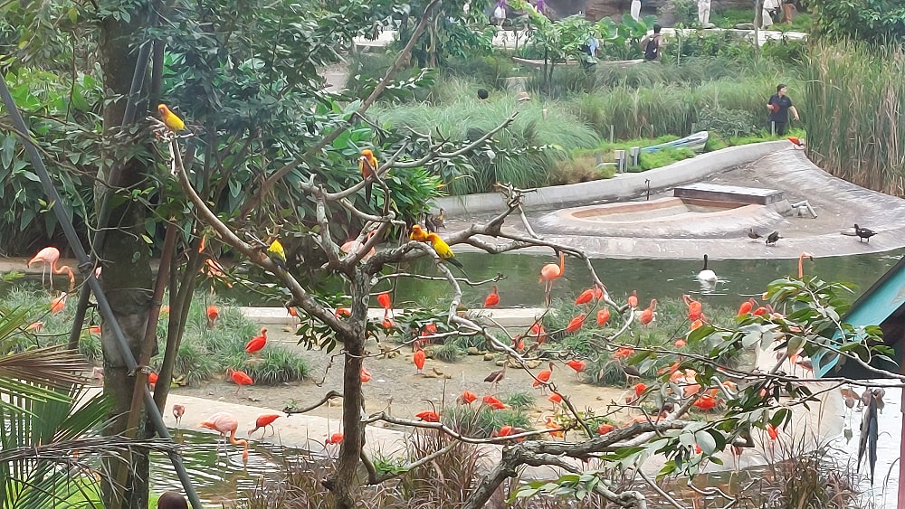 Down Time versus Down Moods