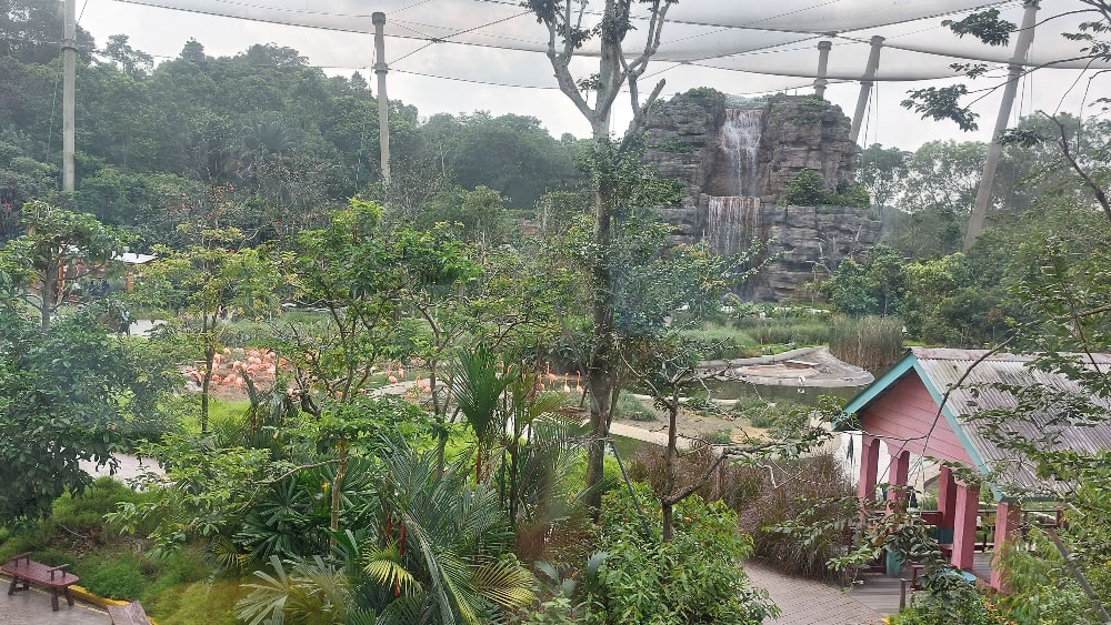 Mandai Bird Paradise