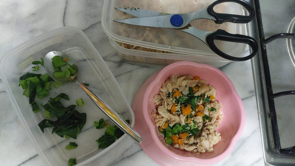 Sophia's food preparation