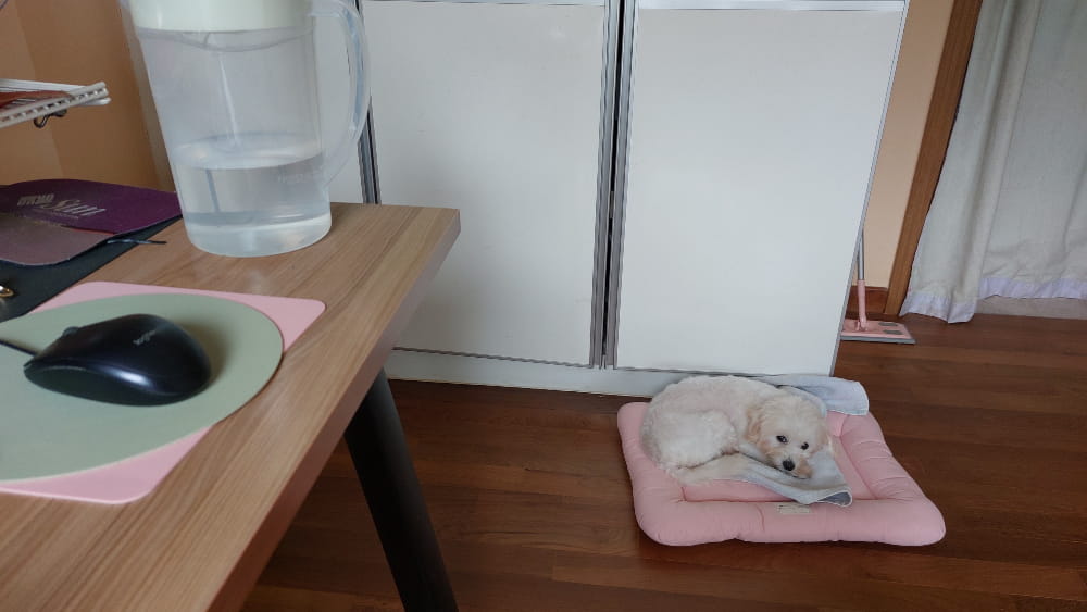 Notes from the Saggy Middle