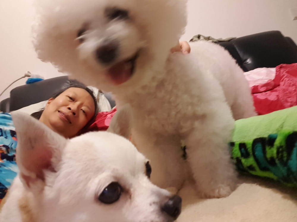 I Don't Like New Things