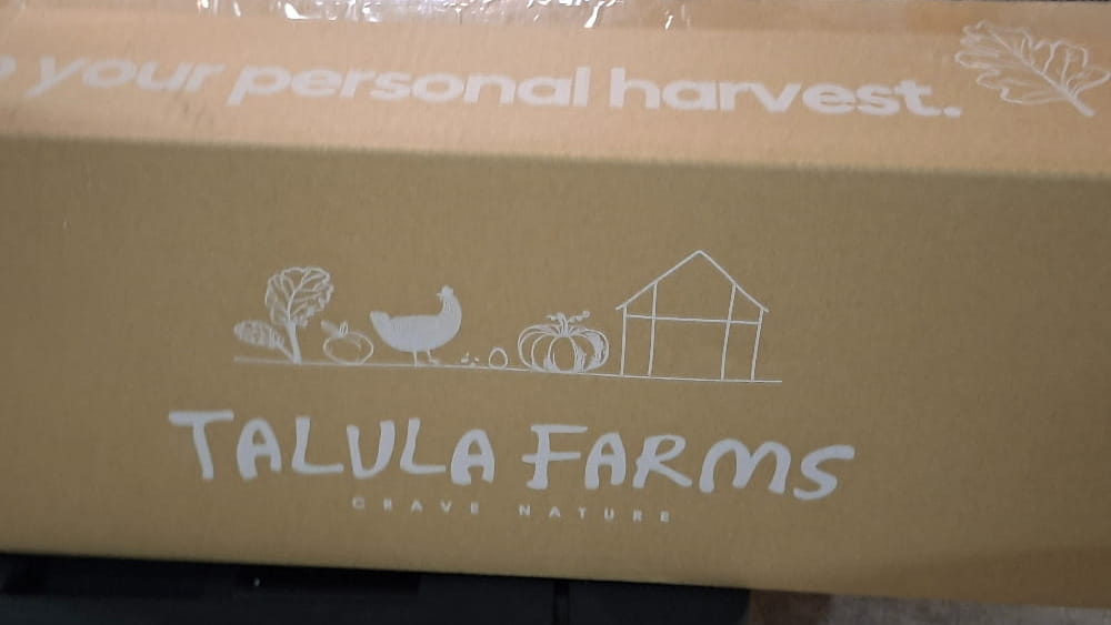 My First Farmer’s Box and Two Kinds of Carrot Cake