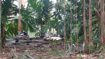A Real Danger of Roots